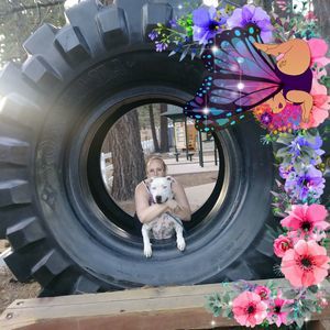 Meet your Posher, Summer